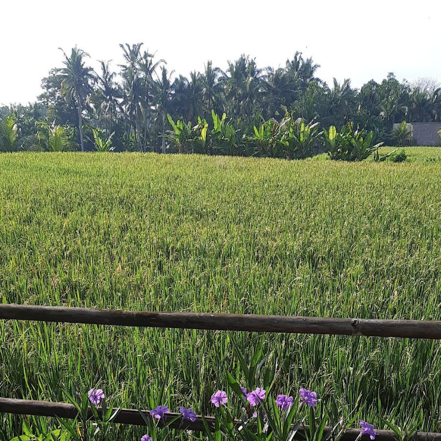 Pb Pondok Gandalangu Garden House Bali Ubud Exterior foto